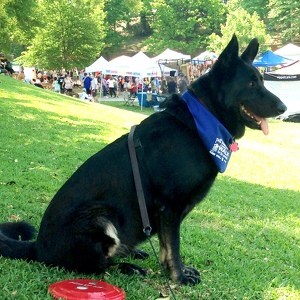 Fundraising Page: Susan Yost